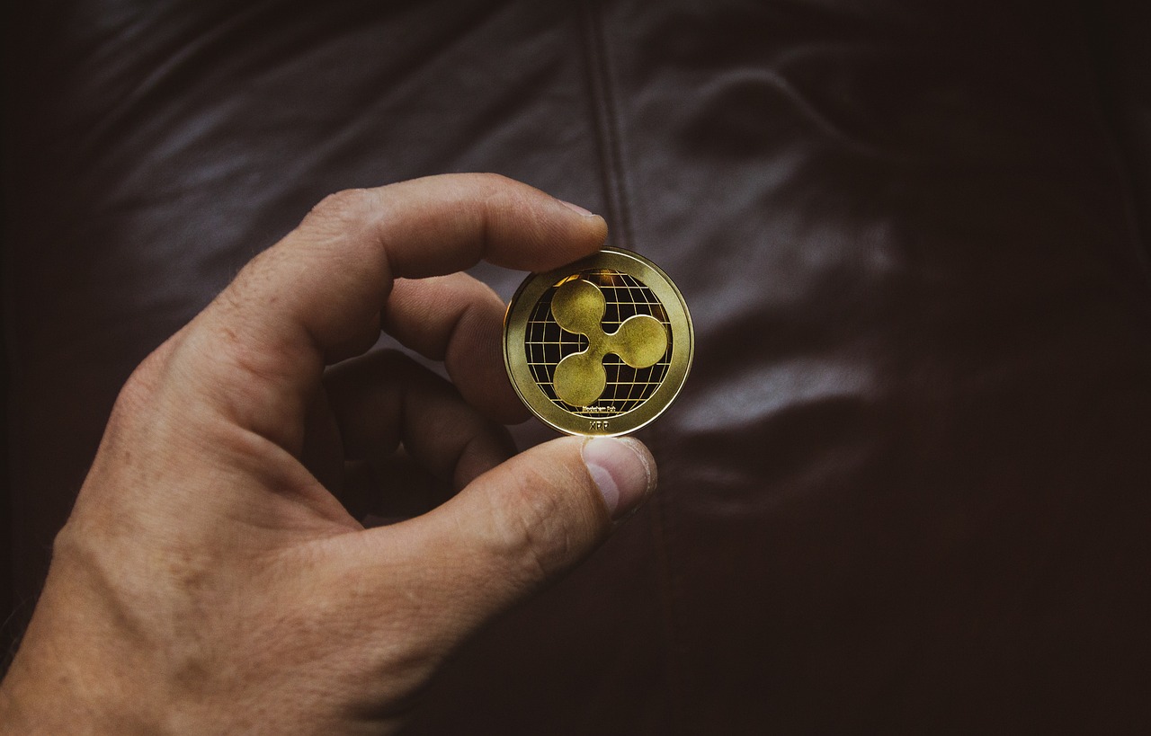 探索虚拟世界的另类货币，屎币最新动态